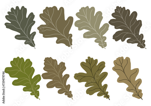 Set of vector silhouettes of colored oak leaves