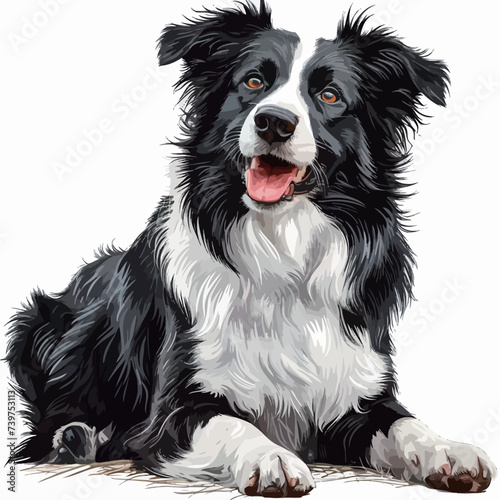 Border Collie dog isolated on white background. Vector sketch illustration.