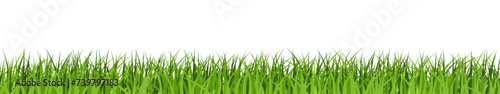 Realistic green grass banner on isolated background. Lawn, meadow, garden or park vector border.