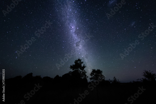 Starry Night Milky Way