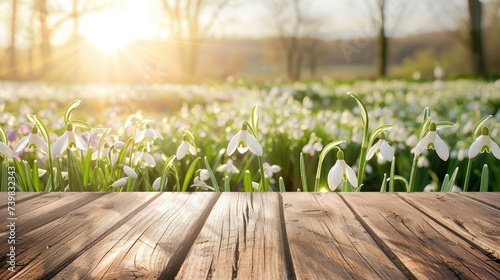 banner Empty wooden table platform with snowdrops blossom background. For product display