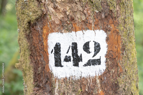 number 142 painted at the old tree in the forest