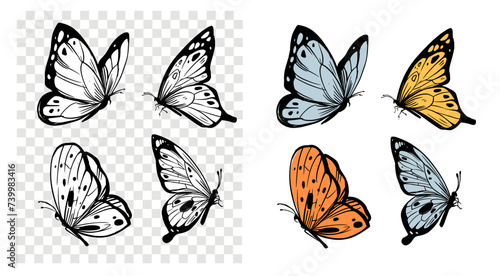 Butterflies set, hand drawn vector illustration, sketch, black outline, engraving style