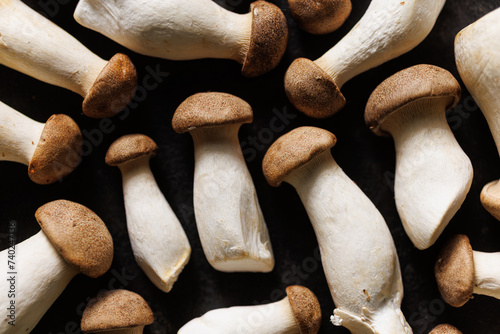 King oyster mushroom, eryngi on a black background. Mushroom background 