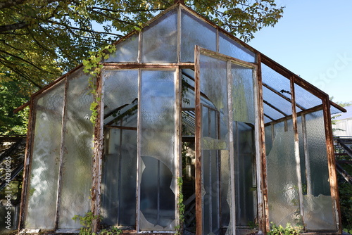 abandoned greenhouse coverd in invasive vegetation