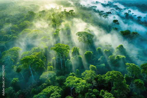 Amazon Aerial Symphony: A Mesmerizing View Over the Vast Amazon Rainforest, Unveiling the Rich Biodiversity of Brazil, Peru, Colombia, and Other Amazonia Countries