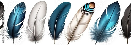 Cute Boho collection, featuring a set of bird feathers on a white background. banner.
