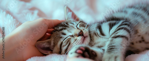A person gently caresses a sleeping tabby kitten on a plush pink blanket, showing affection and pet's comfort