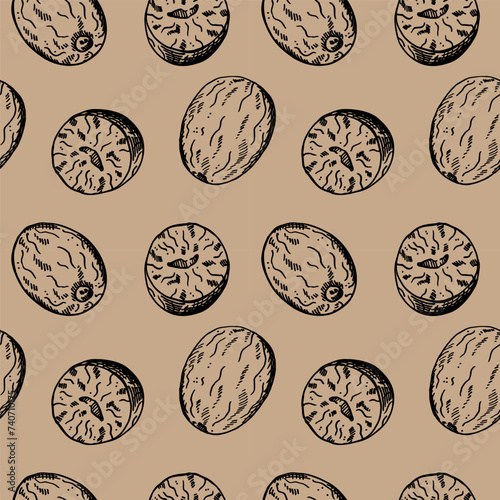 Nutmeg sketch seamless pattern engraved hand drawn vector illustration repeating background with nuts. Backdrop Mace plant, spicy nut design rapport for cooking, medicine, perfumery for textile, print