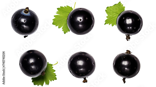 Blackcurrant Illustration with Realistic Details Isolated on Transparent Background - Fresh and Juicy Fruit Graphic Design for Healthy Food Concepts and Summer Market Advertising.