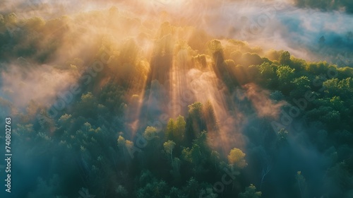 Fog and morning light in the jungle. Beautiful foggy morning Landscape. Aerial view