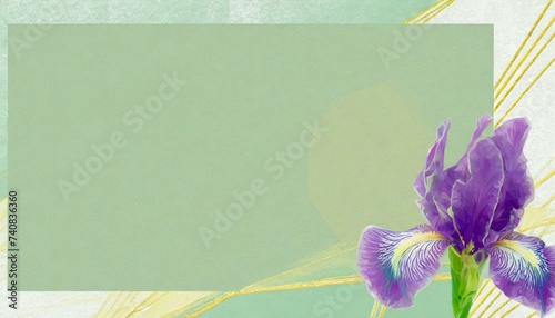 美しい菖蒲の花のイラスト