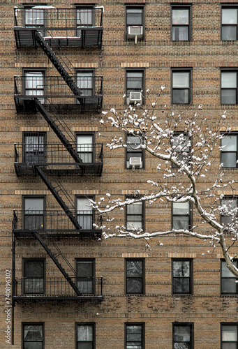 snow covered tree in front of tall brick apartment building (high rise residential home) with fire escape, windows, snowing, winter in brooklyn new york city