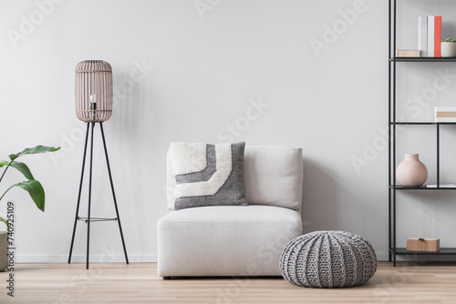 View of modern scandinavian style interior with sofa, lamp and bookcase, Home staging and minimalism concept