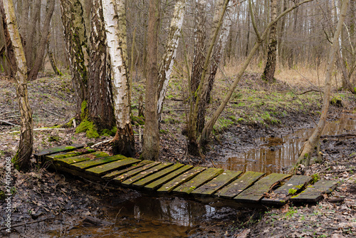 Drewniana kładka mostek na leśnym strumieniu