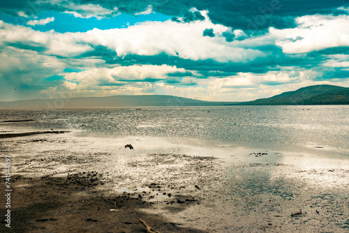 Scenic landscapes at the shores of Lake Nakuru in Kenya