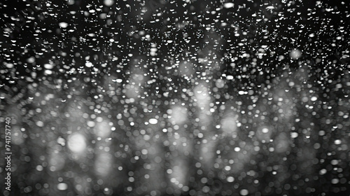 Snow Falling in Black and White