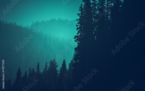 Colorado Woodland Bluish Color Grading Backdrop