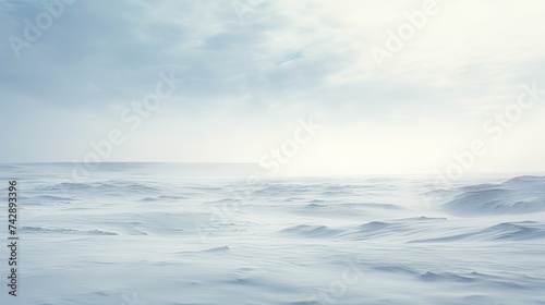 A photo of a snowy tundra