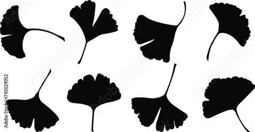 Cartoon flat ginkgo biloba leaf silhouette icon set isolated on transparent background. Nature eco black vector collection. Leaflet organic leaves cosmetics and medical plant icon