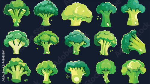 Broccoli vegetables healthy food icon vector illustration