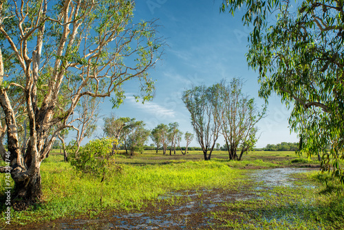 In the Northern Territory, Australia, a birdwatching haven awaits, accessed by boardwalks, offering tourists intimate encounters with wildlife.