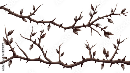 Vintage branch thorns leaves decoration rustic ve