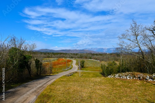 ural road leading across a field at Kras in Primorska, Slovenia and Trnovo forest plateau in the background