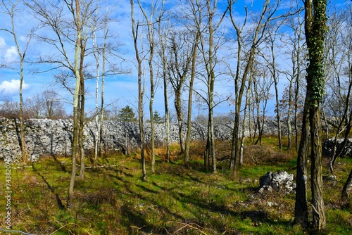 Ruins of Debela Griza hillfort wall near Komen and Volcji Grad, Kras, Primorska, Slovenia