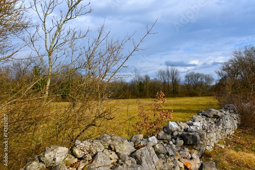 Stone wall next to a field at Kras, Primorska, Slovenia