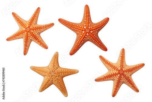 Set of small starfish isolated on transparent background.