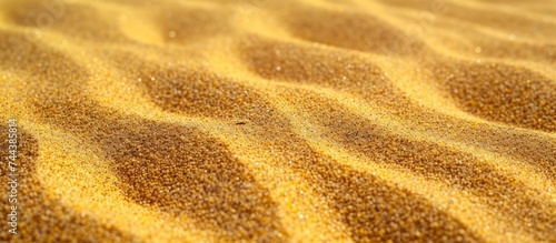 Golden sand texture background for design elements and creative projects in nature concept