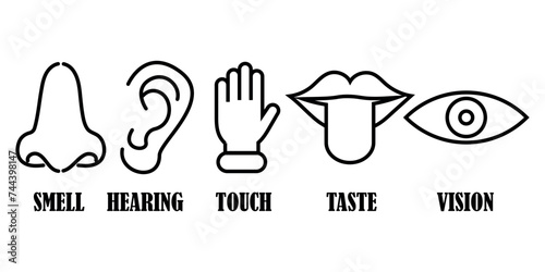 Five human senses icon set. Symbol of smell, hearing, touch, taste and vision.EPS 10