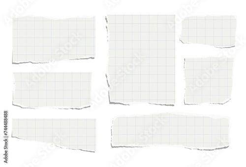 Set of torn pieces of checkered paper isolated on a white background. Paper collage.