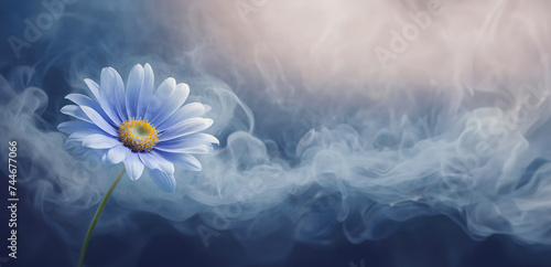 Stokrotka, niebieski kwiat abstrakcja
