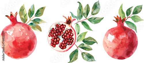 Pomegranate fruit set whole and half and green leaves. Watercolor hand drawn vector illustration isolated on white background