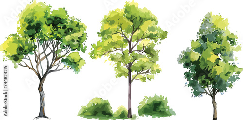 Set of watercolor green tree isolated on white background for landscape and architecture drawing, elements for environment and garden, botanical for section in spring. Watercolor trees collection