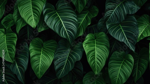 Foliage background full of green tropical leafs in shades of green.jpeg