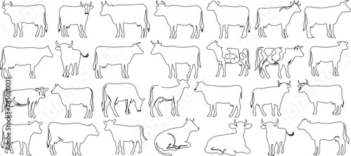 Outlined cows in various poses, perfect for educational, farming content. Simple, minimalistic, modern cow line art on a white background. Ideal for animal themed designs