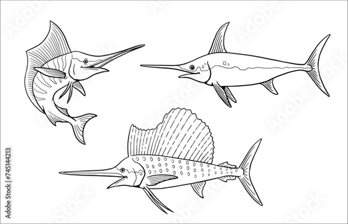 Set of different swordfish to color in. Vector template for a coloring book with fish. Coloring template for kids. 
