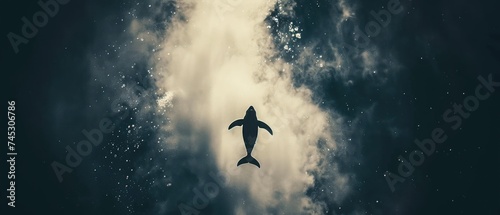 a black and white photo of a shark swimming in the ocean with clouds and stars in the sky in the background.