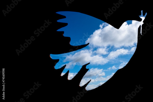 paloma de la paz entre nubes