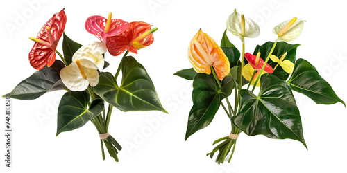 bouquet of anthurium with flowers, isolated on transparent background
