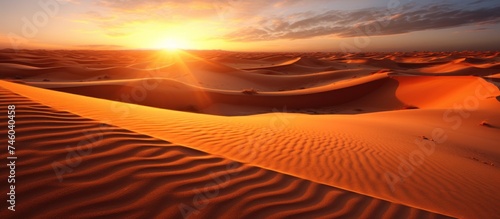 desert sand under the hot sun