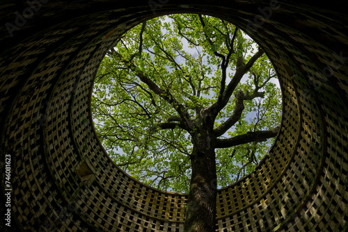 old medieval abandoned dovecote with a tree growing in the middle