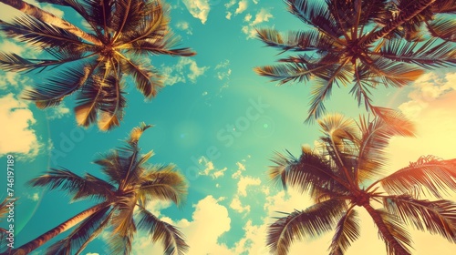 Vintage blue sky and palm trees view from below