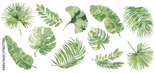 set of tropical exotic jungle leaves in green wet watercolor.