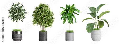 Plants in 3d rendering. Indoor beauty plant isolated on white.