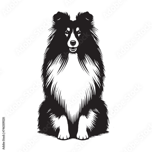 Vintage Retro Styled Vector Shetland Sheepdog Silhouette Black and White - illustration