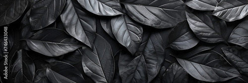 A black textured pile of black leaves seamless pattern dark background